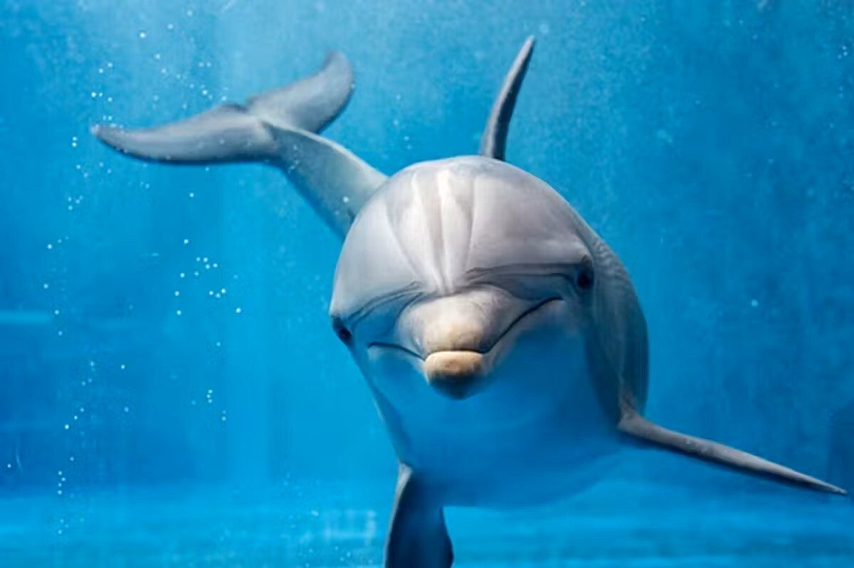 7e16007f7cc9917ad1bc9c83cc039cdcbd93206e-563x375