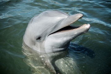 copy_of_20240919_aleta_cwg_006