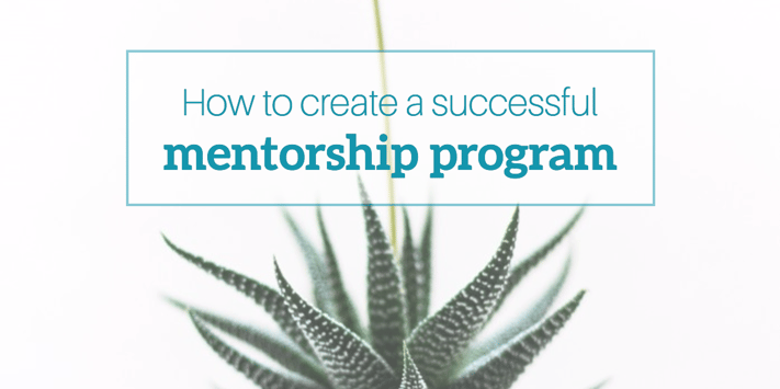 mentorship-program.png