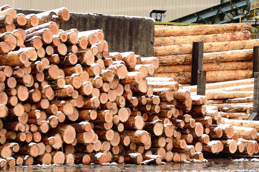 Pile of logs for Fastmarkets RISI testimonial