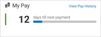 days till next payment view