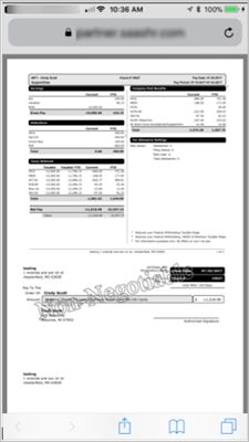 pay statement